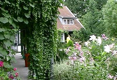 Im Garten hinter dem Gästehaus